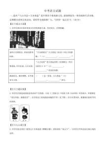 中考招生語文卷_(3)