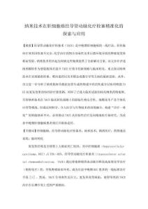 納米技術在肝細胞癌經(jīng)導管動脈化療栓塞精準化的探索與應用