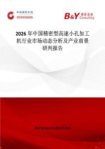 2026年中國(guó)精密型高速小孔加工機(jī)行業(yè)市場(chǎng)動(dòng)態(tài)分析及產(chǎn)業(yè)前景研判報(bào)告