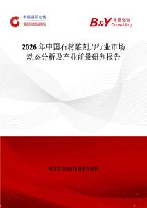 2026年中國石材雕刻刀行業(yè)市場動態(tài)分析及產(chǎn)業(yè)前景研判報告