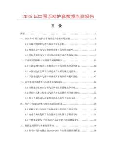 2025年中國手柄護套數據監測報告