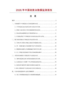 2026年中國收款臺數據監測報告