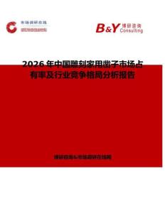 2026年中國雕刻家用鑿子市場占有率及行業(yè)競爭格局分析報告