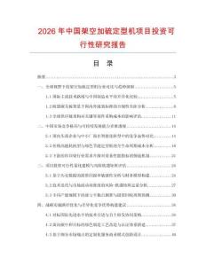 2026年中國架空加硫定型機項目投資可行性研究報告