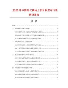 2026年中國活化高嶺土項目投資可行性研究報告