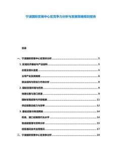 寧波國際貿易中心區(qū)競爭力分析與發(fā)展策略規(guī)劃報告