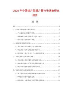 2025年中國(guó)鋃片型翅片管市場(chǎng)調(diào)查研究報(bào)告