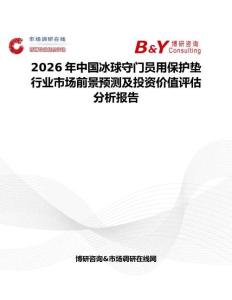 2026年中國冰球守門員用保護墊行業市場前景預測及投資價值評估分析報告
