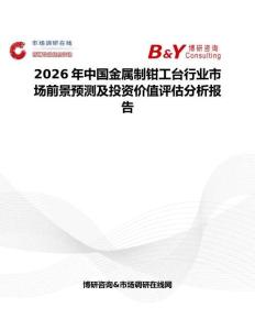 2026年中國金屬制鉗工臺行業市場前景預測及投資價值評估分析報告