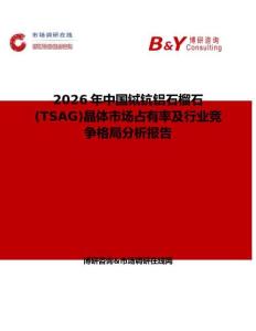 2026年中國鋱鈧鋁石榴石(TSAG)晶體市場(chǎng)占有率及行業(yè)競(jìng)爭(zhēng)格局分析報(bào)告