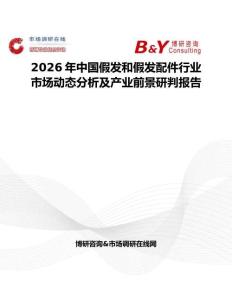 2026年中國假發和假發配件行業市場動態分析及產業前景研判報告