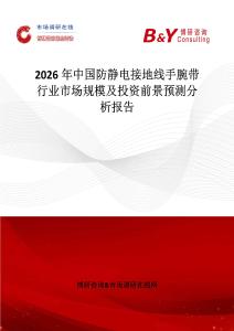 2026年中國防靜電接地線手腕帶行業(yè)市場規(guī)模及投資前景預(yù)測分析報告