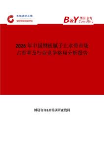 2026年中國鋼板膩?zhàn)又顾畮袌稣加新始靶袠I(yè)競爭格局分析報告