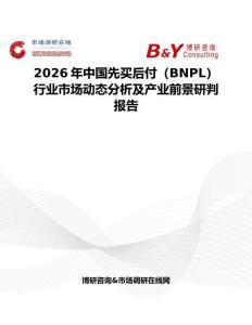 2026年中國先買后付（BNPL）行業(yè)市場動態(tài)分析及產(chǎn)業(yè)前景研判報告