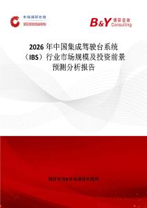 2026年中國集成駕駛臺系統 （IBS）行業市場規模及投資前景預測分析報告