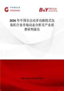 2026年中國全自動多功能枕式包裝機行業市場動態分析及產業前景研判報告