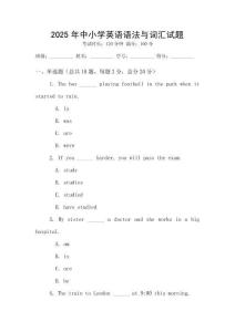 2025年中小學英語語法與詞匯試題