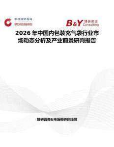2026年中國內(nèi)包裝充氣袋行業(yè)市場動態(tài)分析及產(chǎn)業(yè)前景研判報告