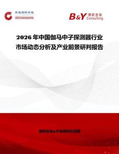 2026年中國伽馬中子探測器行業(yè)市場動態(tài)分析及產(chǎn)業(yè)前景研判報告
