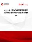 2026年中國伽馬臨界報警裝置行業市場動態分析及產業前景研判報告