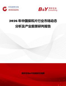 2026年中國保和片行業(yè)市場動態(tài)分析及產(chǎn)業(yè)前景研判報告