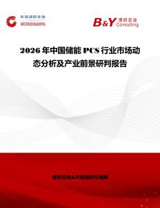 2026年中國(guó)儲(chǔ)能PCS行業(yè)市場(chǎng)動(dòng)態(tài)分析及產(chǎn)業(yè)前景研判報(bào)告