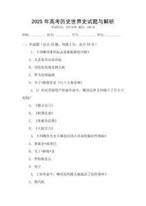 2025年高考歷史世界史試題與解析