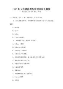 2025年大數(shù)據(jù)挖掘與處理考試及答案