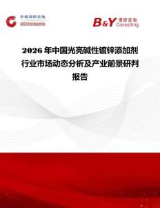 2026年中國光亮堿性鍍鋅添加劑行業市場動態分析及產業前景研判報告
