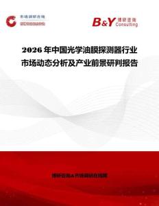 2026年中國光學油膜探測器行業(yè)市場動態(tài)分析及產(chǎn)業(yè)前景研判報告