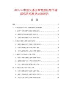 2025年中國交通違章管理信息傳輸網(wǎng)絡(luò)系統(tǒng)數(shù)據(jù)監(jiān)測報告