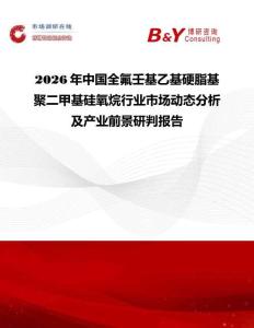 2026年中國全氟壬基乙基硬脂基聚二甲基硅氧烷行業(yè)市場動態(tài)分析及產(chǎn)業(yè)前景研判報告