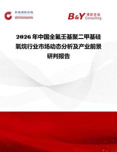 2026年中國全氟壬基聚二甲基硅氧烷行業(yè)市場動態(tài)分析及產(chǎn)業(yè)前景研判報告