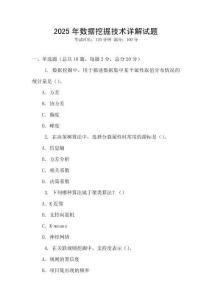 2025年數據挖掘技術詳解試題