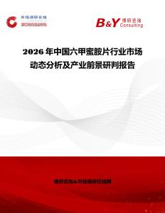 2026年中國六甲蜜胺片行業市場動態分析及產業前景研判報告