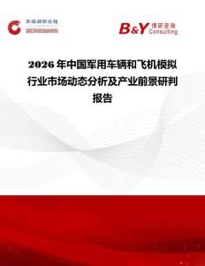 2026年中國軍用車輛和飛機模擬行業(yè)市場動態(tài)分析及產(chǎn)業(yè)前景研判報告
