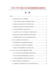 2025年中國云母電阻數據監測報告