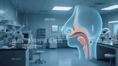 鼻腔：人體呼吸系統(tǒng)的第一道防線