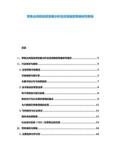 零售業(yè)風(fēng)險(xiǎn)投資發(fā)展分析及投資融資策略研究報(bào)告