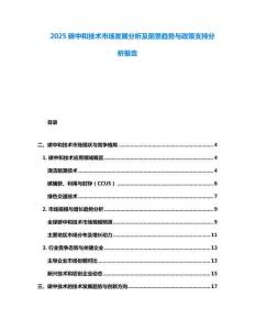 2025碳中和技術(shù)市場(chǎng)發(fā)展分析及前景趨勢(shì)與政策支持分析報(bào)告