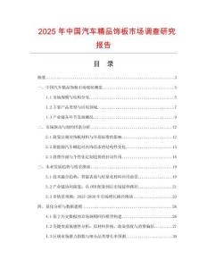 2025年中國汽車精品飾板市場調查研究報告