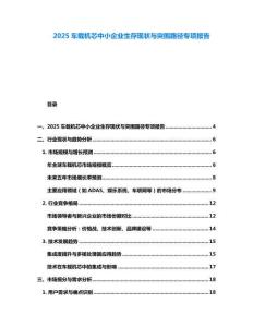 2025車載機芯中小企業(yè)生存現(xiàn)狀與突圍路徑專項報告