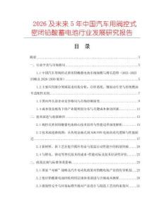 2026及未來5年中國(guó)汽車用閥控式密閉鉛酸蓄電池行業(yè)發(fā)展研究報(bào)告