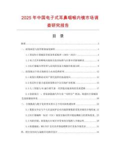 2025年中國電子式耳鼻咽喉內鏡市場調查研究報告