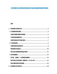 軟件服務(wù)行業(yè)風(fēng)險投資發(fā)展分析及投資融資策略研究報告