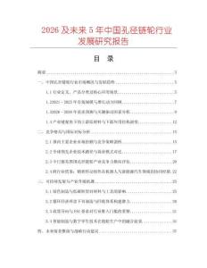 2026及未來5年中國孔徑鏈輪行業(yè)發(fā)展研究報告