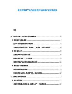 摩爾多瓦輕工業(yè)市場(chǎng)動(dòng)態(tài)與未來增長點(diǎn)研究報(bào)告