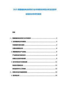 2025韓國儲能電池研發(fā)行業(yè)市場現(xiàn)狀供需分析及投資評估規(guī)劃分析研究報告
