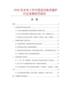 2026及未來5年中國多功能采暖爐行業(yè)發(fā)展研究報告