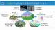 陸地生態(tài)系統(tǒng)碳循環(huán)與碳匯功能